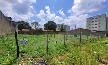 Imagem: Lote à venda em rua pública, MADRE PAULINA