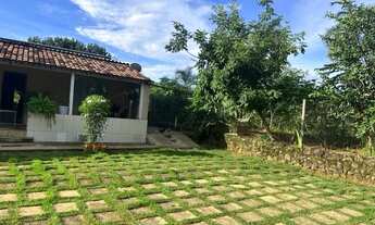 Imagem 7: Vendo chacara formada