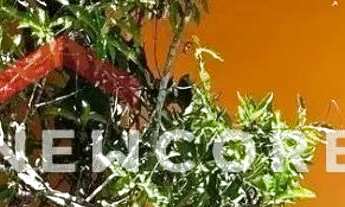 Imagem 6: Casa de condomínio em Alameda Aquárius - Alphaville - Santana de Parnaíba/SP