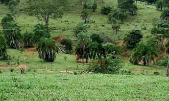 Imagem 3: Fazenda à venda, 488.84 Hectares por R$ 11.000.000 - Zona Rural - Uruana/GO