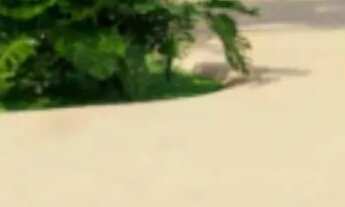 Imagem 5: Imóvel para venda possui 26 metros quadrados com 1 quarto em Muro Alto - Ipojuca - PE