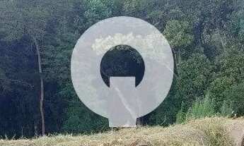 Imagem 4: TERRENO 1.438M2 QUATRO BARRAS