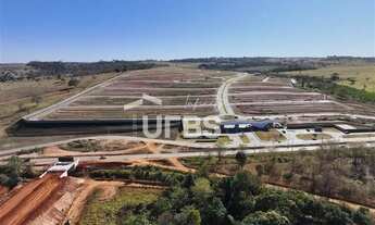 Imagem 3: LOTE VINHAS FLAMBOYANT