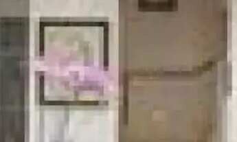 Imagem 4: CASA ASSOBRADADA - PRAIA DAS PALMEIRAS - SP