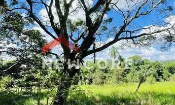 Imagem: Sítio em Estrada Municipal de Caetetuba