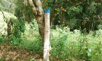 Imagem 6: Lote em Alto do Capivari - Campos do Jordão - Alto do Capivari - Campos do Jordão/SP