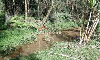 Imagem 4: Chácara em Estrada Conceição dos Correias - Morro Da Palha - Campo Magro/PR