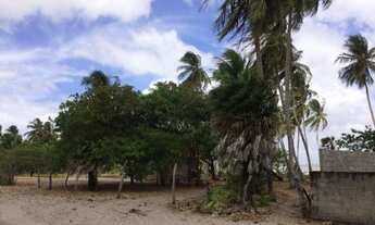 Imagem 4: Terreno na Praia de Santa Clara- H. de Campos