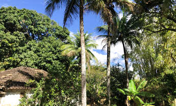 Imagem 7: Sítio Terrenos Lotes Chácaras 4.000m2 em Sítio na Serra da Cruz em Macaé