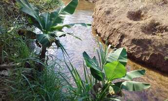 Imagem 5: Oportunidade Vende-se chácara no Areia Grossa