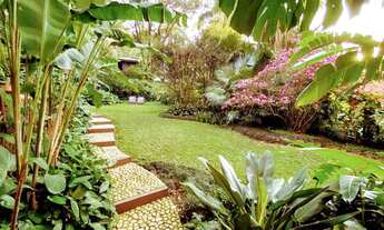 Imagem: CASA PARAÍSO! ONDE O DESPERTAR DA VIDA