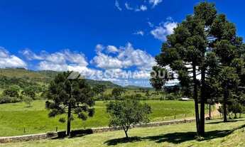 Imagem 6: Sítio à Venda em Urubici-SC/ Terreno Rural/ Serra Catarinense