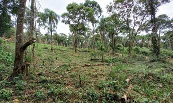 Imagem 7: Chacrinha de 500 e 1000m2 IBIUNA - Campo Verde - Ibiúna - SP