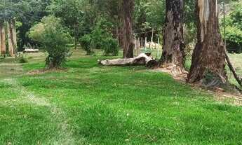 Imagem 3: Terreno Excelente de 65.000m² com Três Casas Lagoa e Riacho