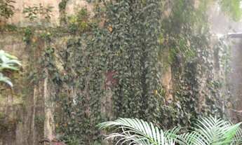 Imagem 5: Charmoso apartamento de 1 dormitorio a Venda- Santa Cecilia