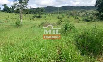 Imagem 3: Fazenda de Pecuária em Campinaçu-GO. > 255 Alq. (1.234 Há