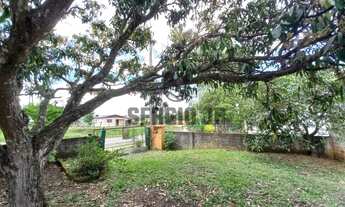 Imagem 3: Chácara com 2.000m², casa e frente para o asfalto em Triunfo