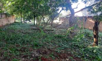 Imagem 3: Lote 407 Sul Terreno / lote com venda com preço sob consulta