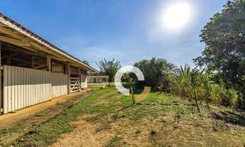 Imagem 3: Sítio à venda, 40000 m² por R$ 1.000.000,00 - Sousas - Campinas/SP