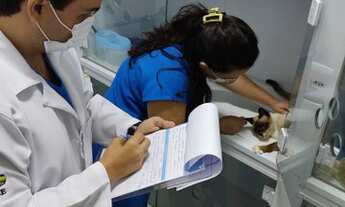 Imagem 7: Clínica Veterinária / Vendo 50% do empreendimento