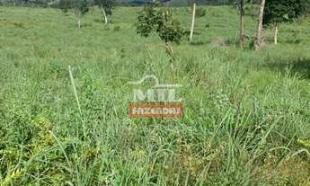 Imagem 7: Fazenda de Pecuária em Campinaçu-GO. > 255 Alq. (1.234 Há