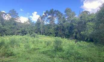 Imagem 2: Lugar Especial e Imperdível! Belíssimo Terreno de 5.431m² - O Melhor de Marmelópolis/MG