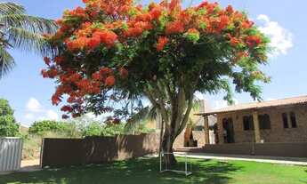 Imagem: Casa para venda tem 130 metros quadrados