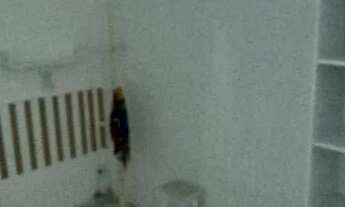 Imagem 7: Apartamento 1 quarto no caiçara