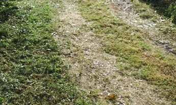 Imagem 2: 1 casa de alvenaria (sem laje); 1 casa de madeira( parte de baixo alvenaria