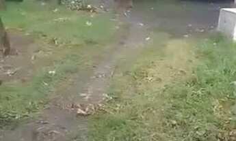 Imagem 2: Terreno 25 mil Terreno / lote com venda por R$25.000