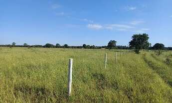Imagem 7: Chácara de 2 ha com casa próximo à Campo Grande/MS