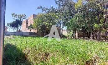 Imagem 4: Aluguel Terreno LARANJEIRAS