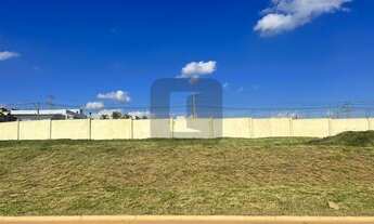 Imagem: Terreno Arborais