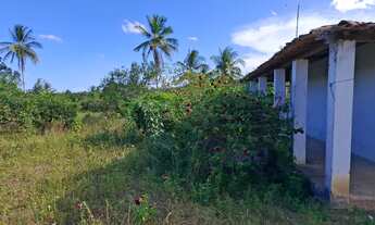 Imagem 2: Vende-se sitio com casa 160,00