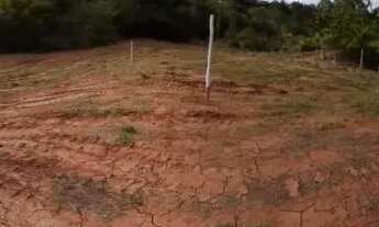 Imagem 5: Duas Chácaras,no Sítio Boa Vista, em Viçosa - MG