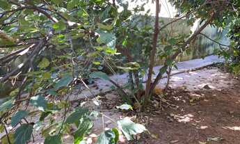 Imagem 4: Terreno em Americana