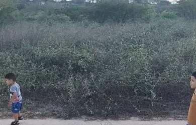 Imagem 6: Vendo ou troco) Terreno 1.200m² - Loteamento Baraúna, Ponto da Pinha, Retirolândia