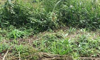 Imagem 3: Terreno iranduba residencial