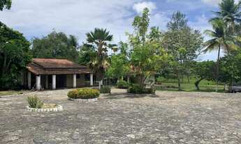 Imagem 4: Granja Não Me Deixes