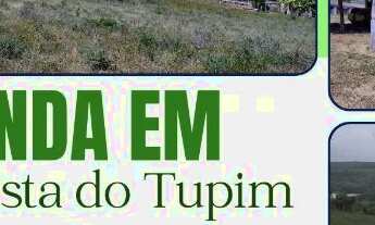 Imagem: FAZENDA EM BOA VISTA DO TUPIM - 6000 TAREFAS