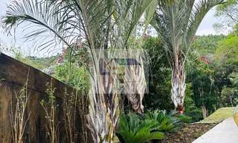 Imagem 5: CHÁCARA À VENDA EM BIRITIBA MIRIM OPORTUNIDADE IMPERDÍVEL