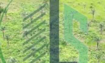 Imagem 5: Área de 482 hectares