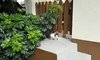 Imagem 4: Terreno,com casaTérrea para venda tem 280 mts com 3 quartos, em Jardim Nordeste - São Pau