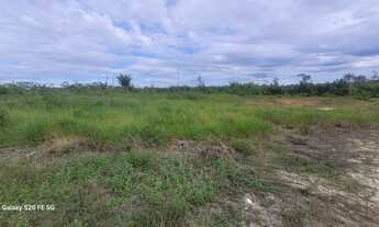 Imagem 6: Vende se 75 hectare de terra 300x2700