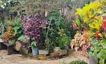 Imagem 2: Vendo casa de 05 quartos sitio gama