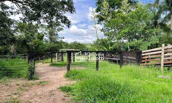 Imagem 3: Chácara 3 Alqueires à Venda Silvânia