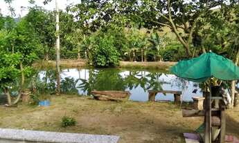 Imagem: Venda-se este sítio de 3.200 mil M² no