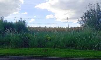 Imagem 2: Vendo lote no bairro Ouro verde e jardim ravena, cafelandia Paraná