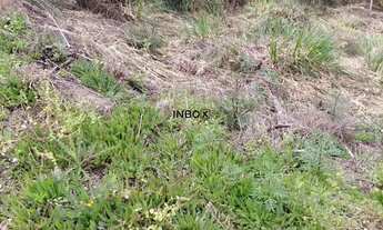 Imagem 2: TERRENO NO BAIRRO FÁTIMA