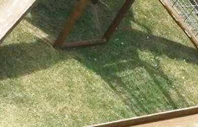 Imagem 7: ! Haras Residence